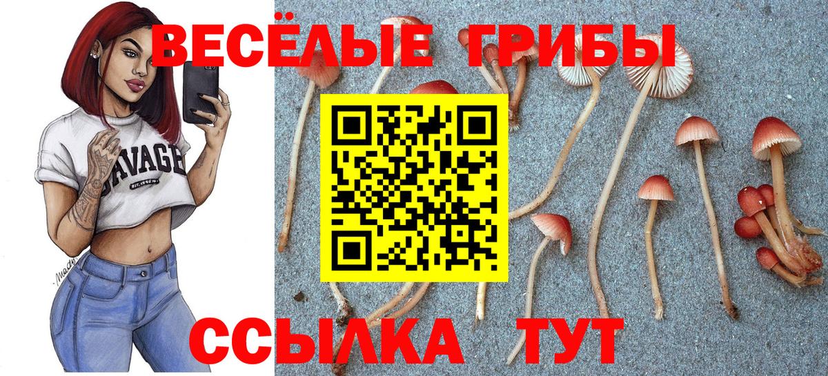наркота  Вход с VPN  Южноуральск  Галлюциногенные грибы Psilocybe  Галлюциногенные грибы GOLDEN TEACHER 